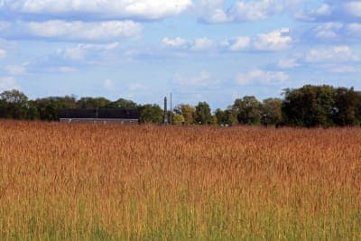 Fort Ridgely State Park