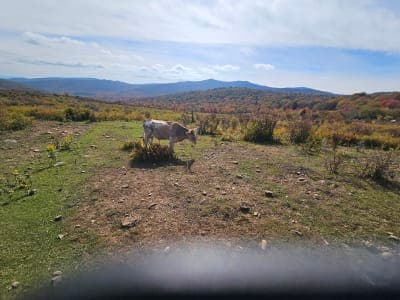 Fox Creek Horse Campground