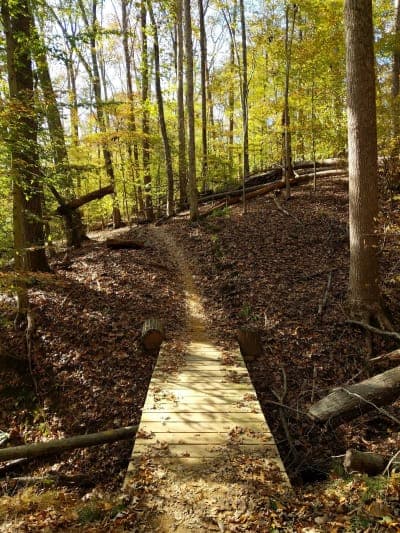 Fountainhead Regional Park