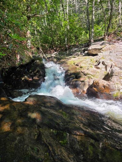 Fox Creek Horse Campground