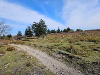 Fox Creek Horse Campground