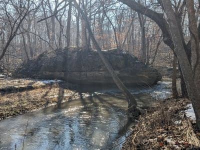 Franklin Creek State Natural Area