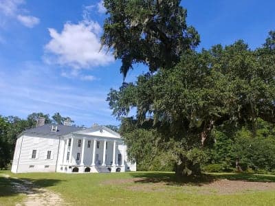 Francis Marion National Forest
