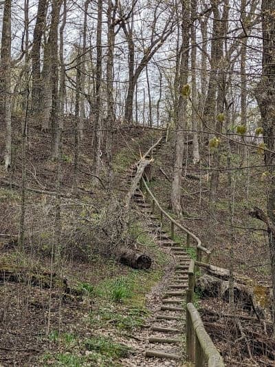 Franklin Creek State Natural Area