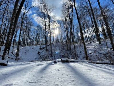Frances Slocum State Forest
