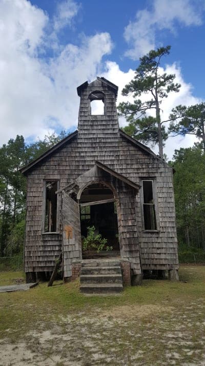 Francis Marion National Forest
