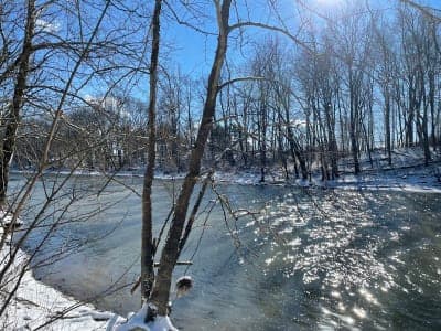 Frances Slocum State Forest