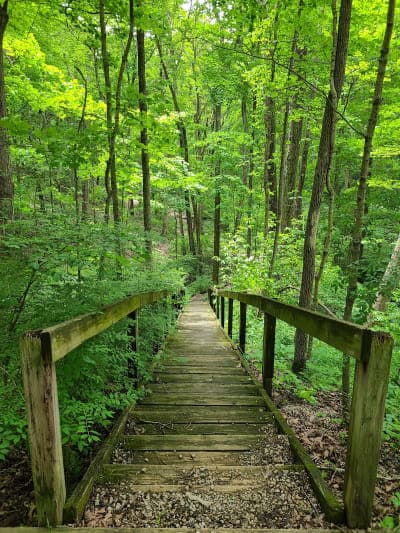 Fox Ridge State Park