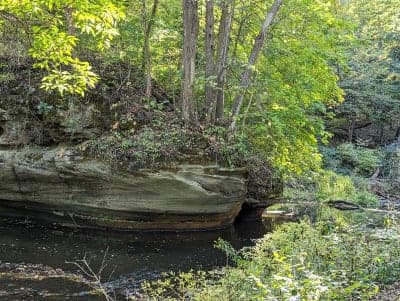 Franklin Creek State Natural Area