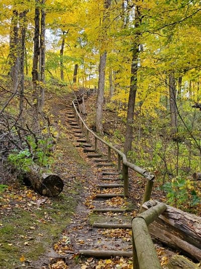 Franklin Creek State Natural Area