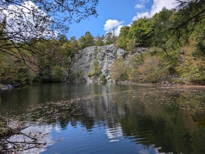 Freetown-Fall River State Forest