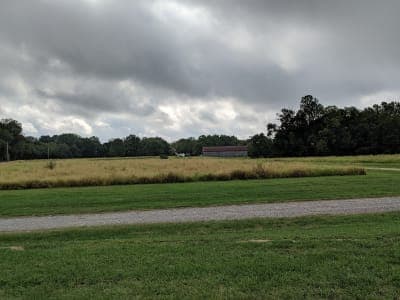 Friendship Farm Park