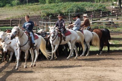 French Broad Outpost Ranch