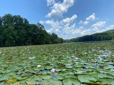 French Creek State Park / Horse-Shoe Trail Corridor
