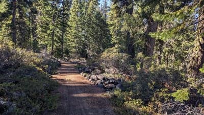 Fremont-Winema National Forest