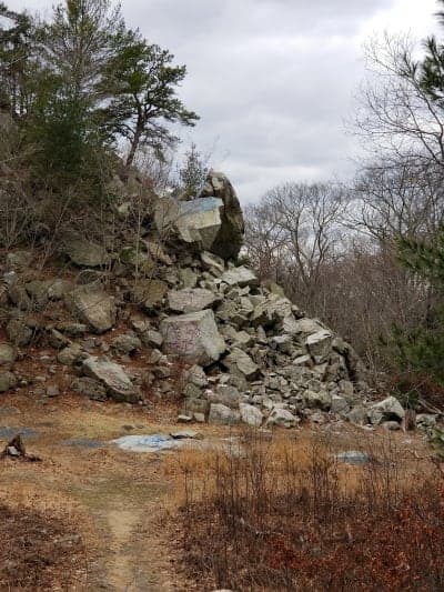 Freetown-Fall River State Forest
