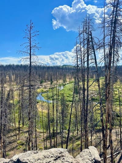 Fremont-Winema National Forest