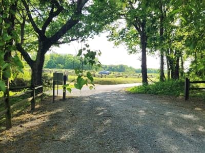 Friendship Farm Park