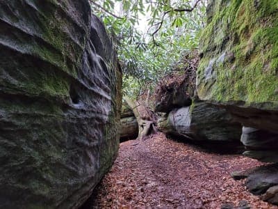 Garrett State Forest