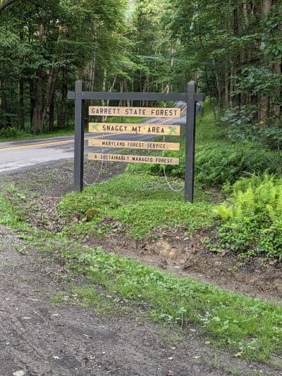 Garrett State Forest