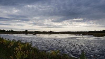 Gandy Dancer State Trail (Northern Segment)