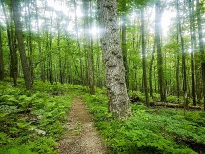 Gambrill State Park