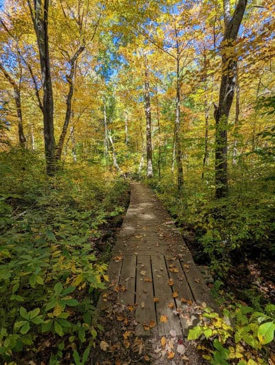 Gay City State Park