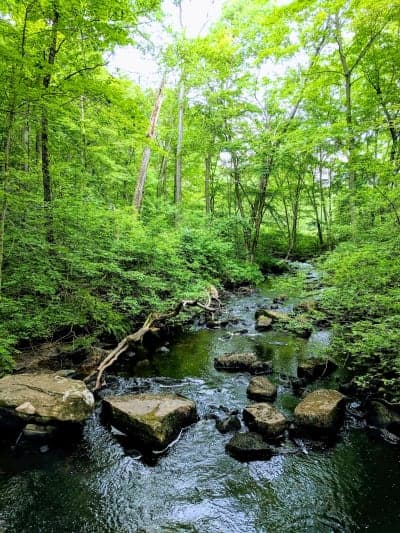 Gay City State Park