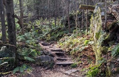 Garrett State Forest