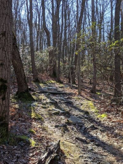 Gambrill State Park