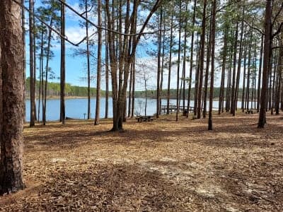 Geneva State Forest