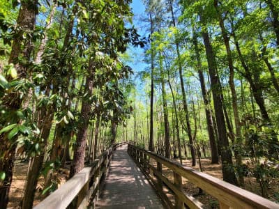 General Coffee State Park
