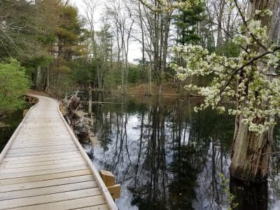 Georgetown-Rowley State Forest