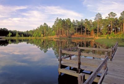General Coffee State Park