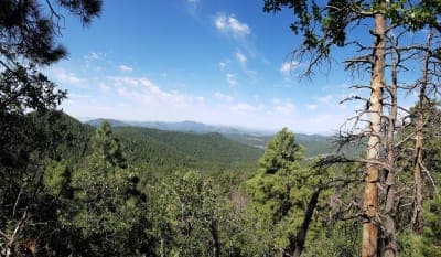 Gila National Forest