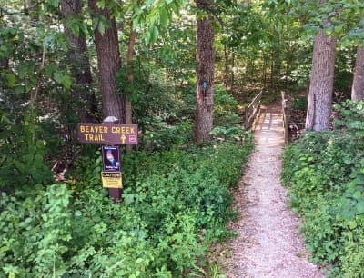 Gifford Pinchot State Park