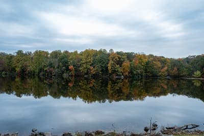 Gifford Pinchot State Park