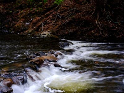Gillis Falls