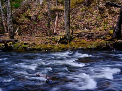 Gillis Falls