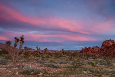 Gold Butte National Monument