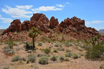 Gold Butte National Monument
