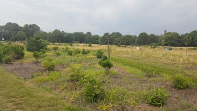 Godena Farm