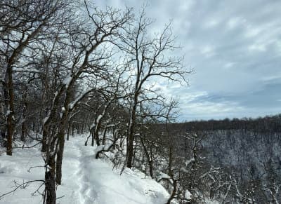 Gorge Creek Trailhead