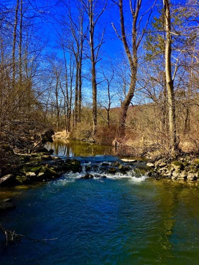 Goosepond Mountain State Park