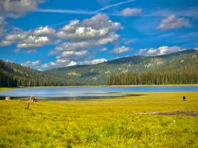 Goose Lake Camping Area