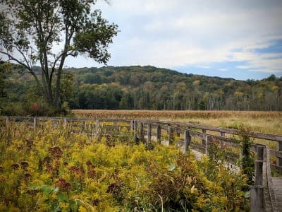 Goosepond Mountain State Park
