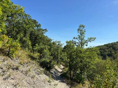 Gorge Creek Trailhead