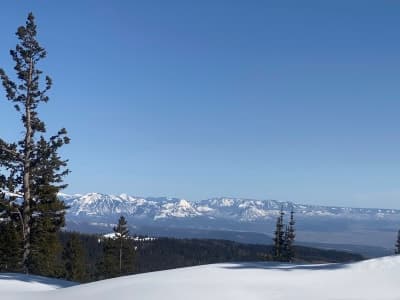 Grand Mesa National Forest