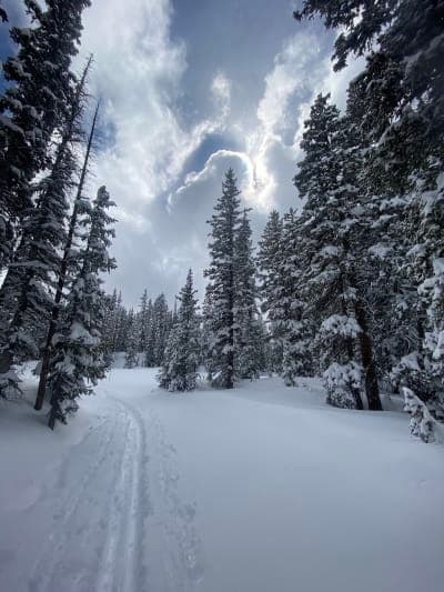 Grand Mesa National Forest