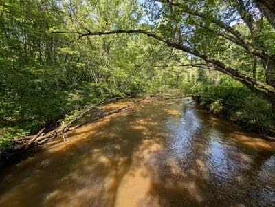Governor Knowles State Forest